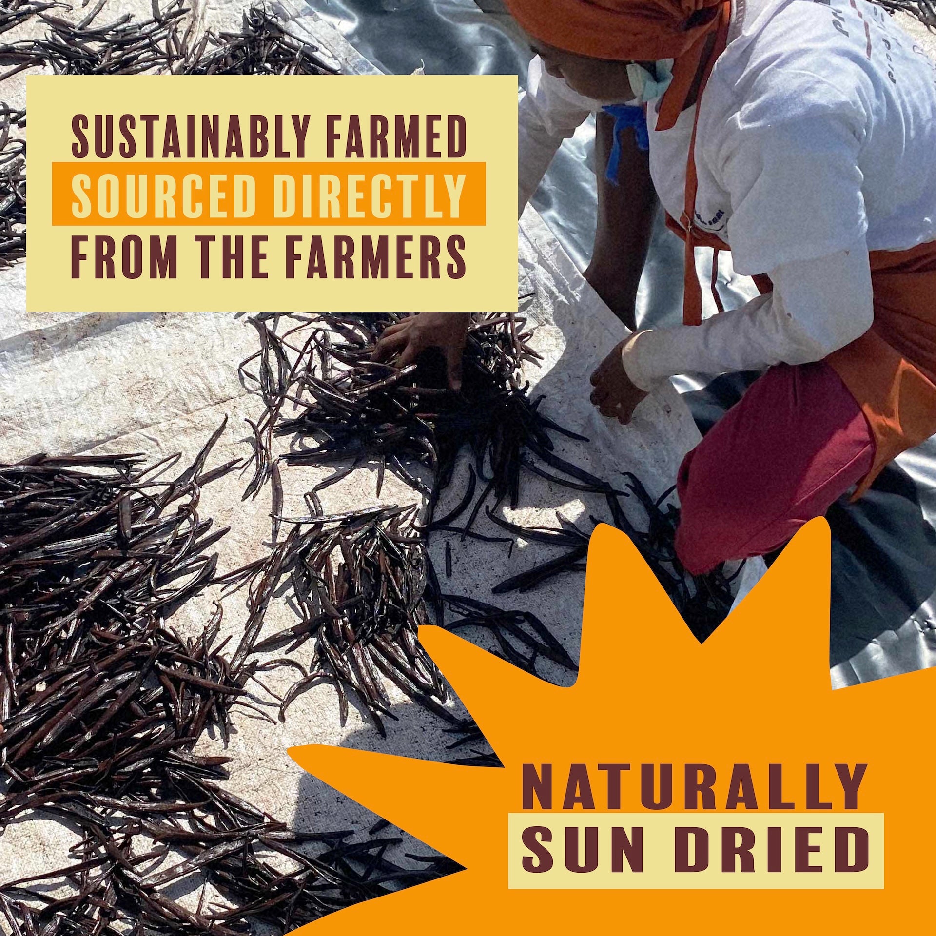 Pure Ground Madagascar Vanilla Powder