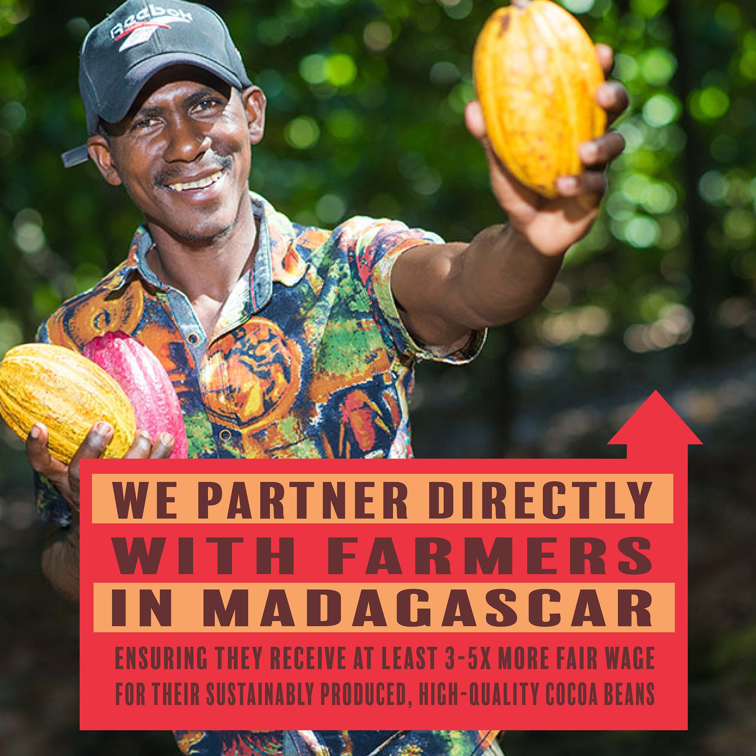 Holiday Collection Bundle - 2 Pack