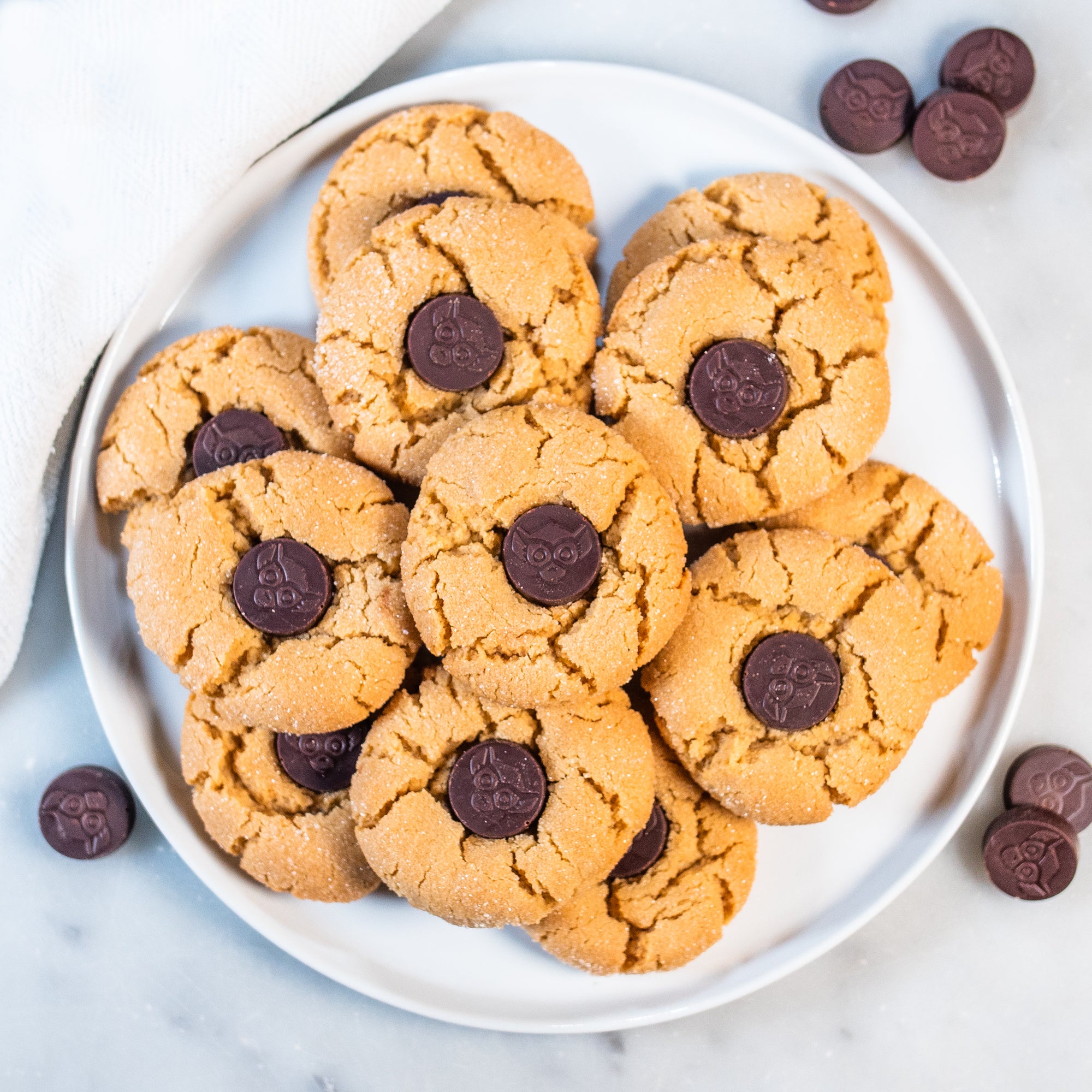 Lenny the Lemur Chocolate Peanut Butter Cookie