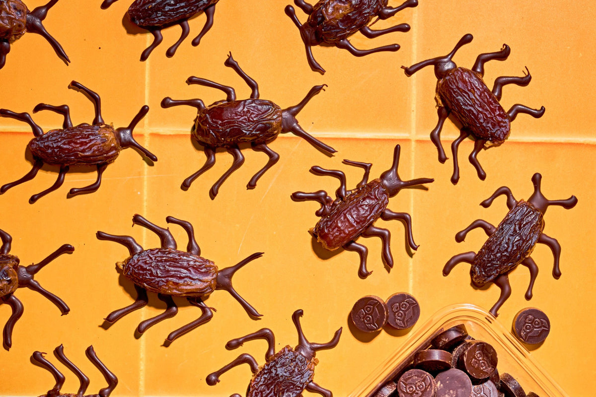 Chocolate date cockroaches for Halloween